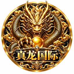 真龙国际